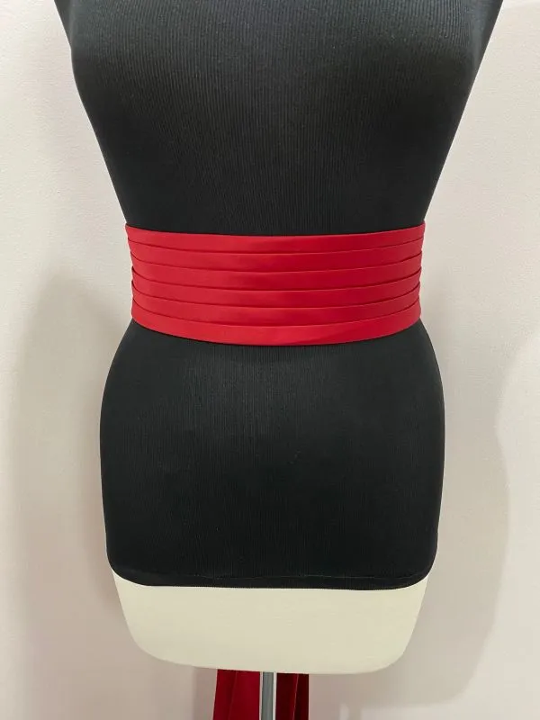 Apple S100 Belt