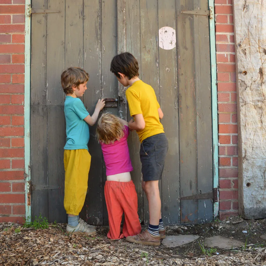 Child's T-Shirt - Organic Merino/Silk (1-14y)