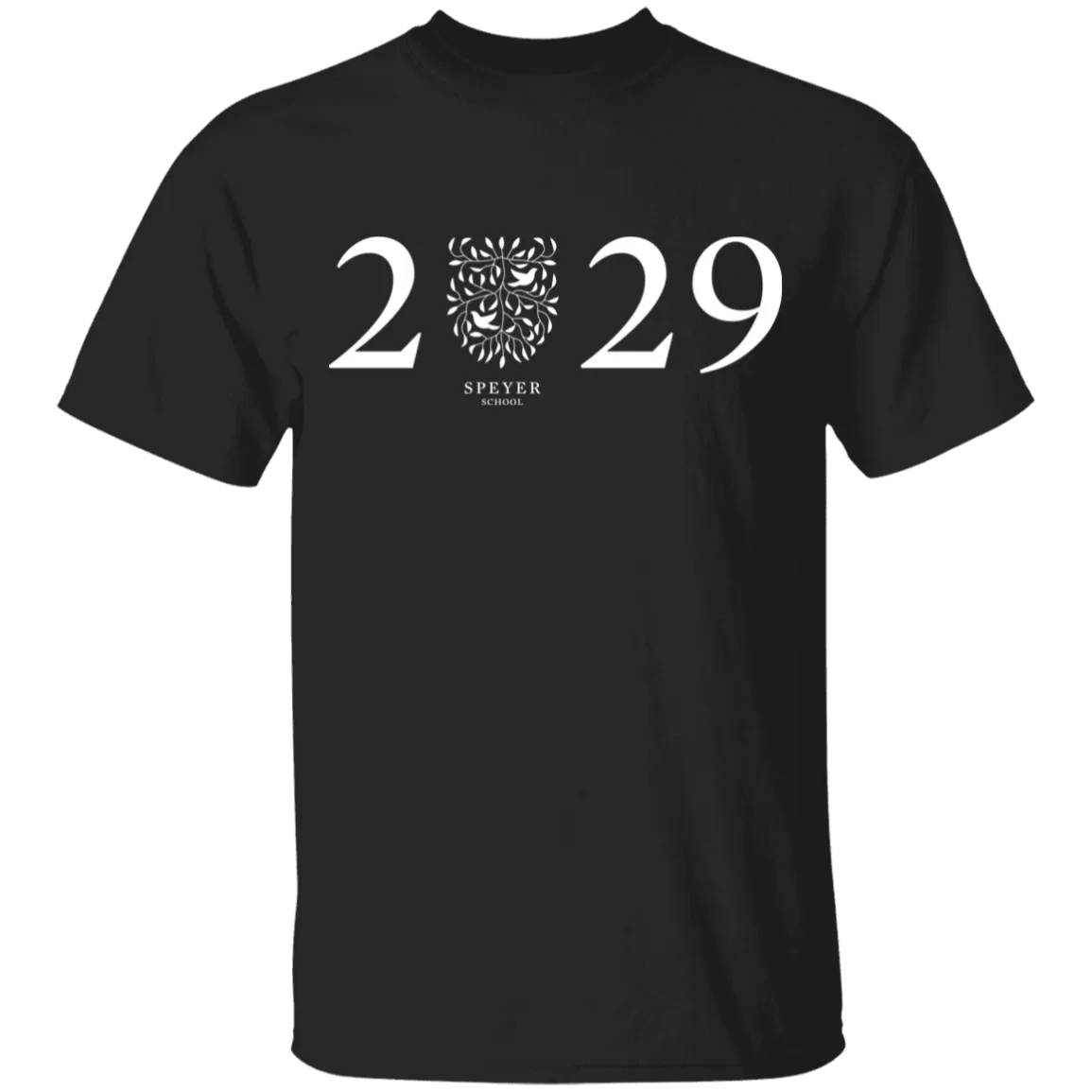 Class of 2029 T-Shirt, Youth Sizes