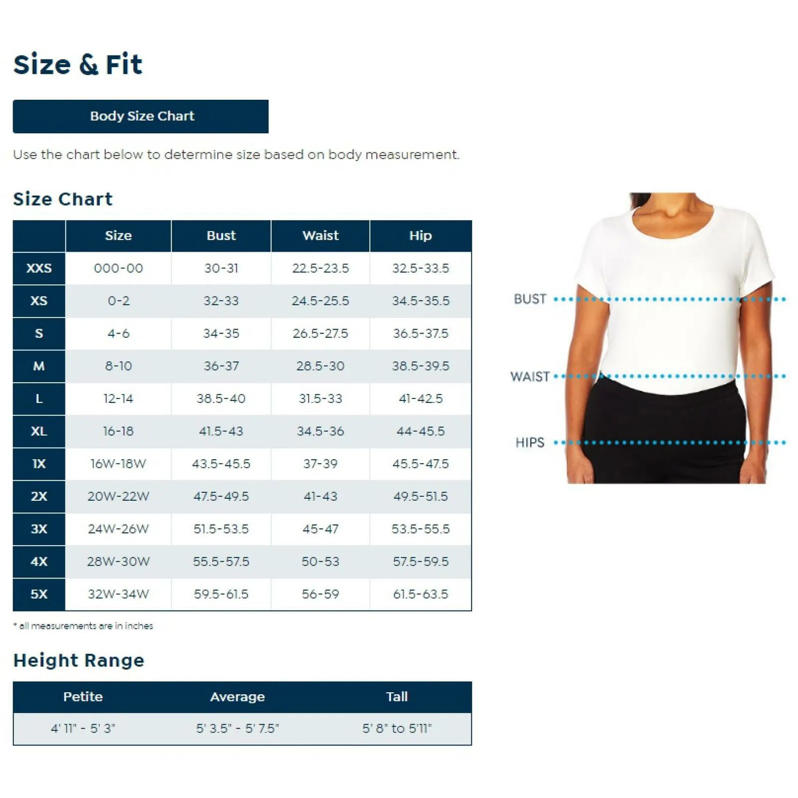 IMAN Women's 2 Pack City Chic Short Sleeve T-Shirts