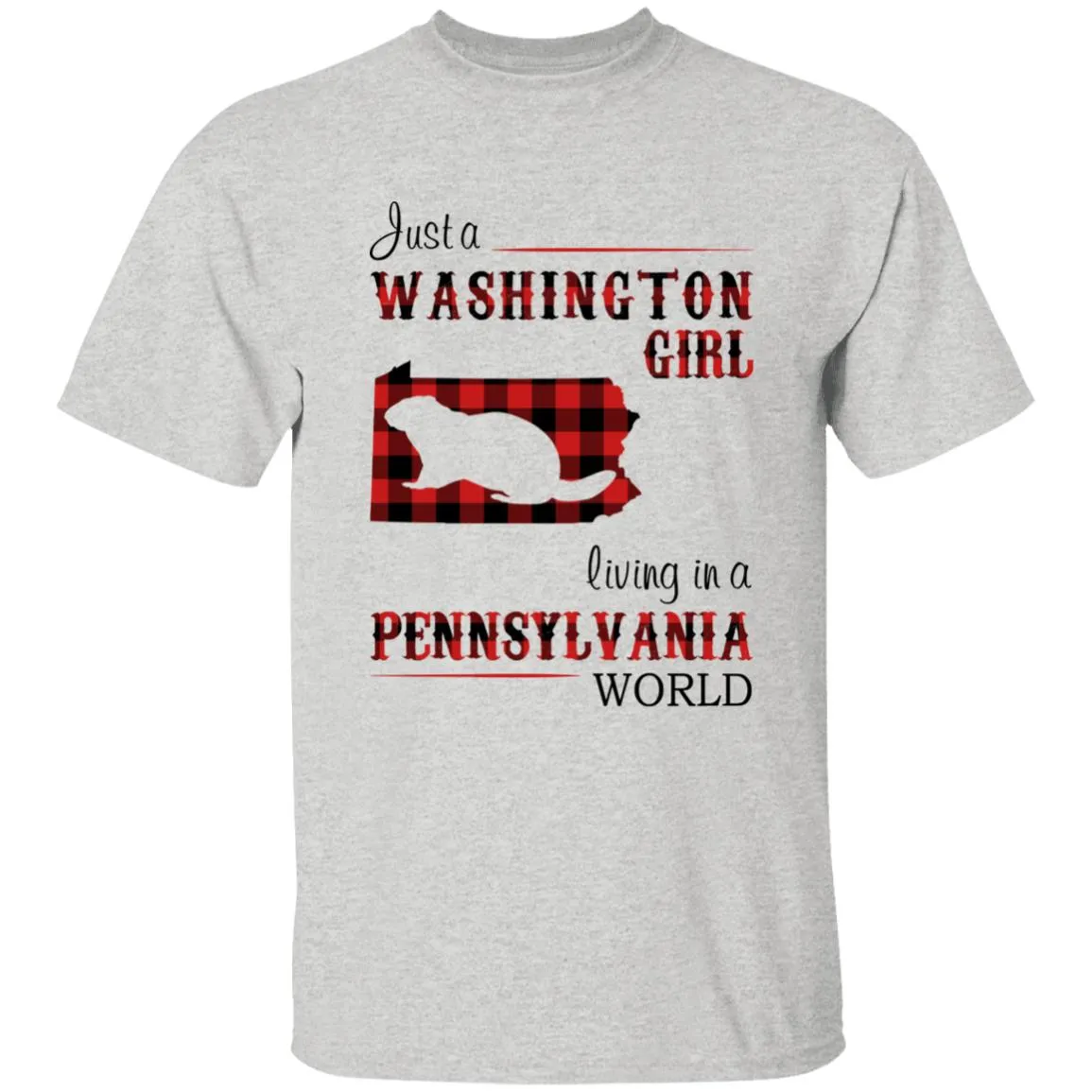Just A Washington Girl Living In A Pennsylvania World T-shirt