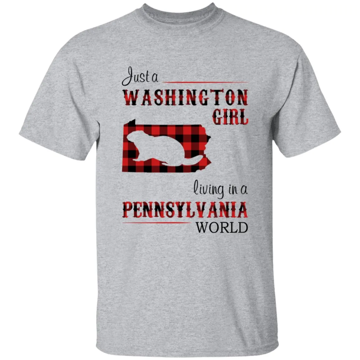 Just A Washington Girl Living In A Pennsylvania World T-shirt