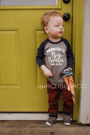 Promoted to Big Brother Shirt - Big Brother Shirts - Promoted - Pregnancy Announcement Shirt