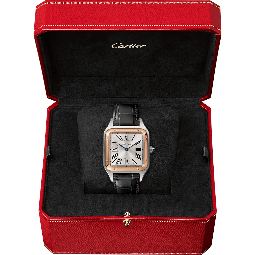 Santos-Dumont watch W2SA0011