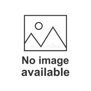 Smartwool Women's Merino Short Sleeve Tee