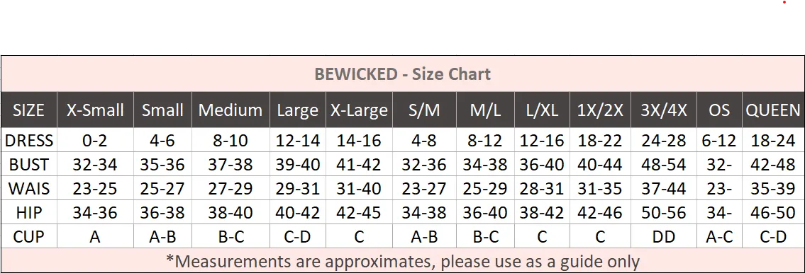 Women's Satin Sheer Mesh Low-Rise Bikini Panty
